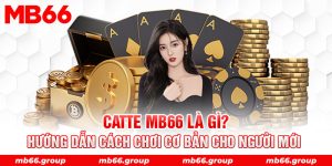 catte mb66